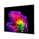TV OLED LG 55G66LS EVO SMART AI 120Hz